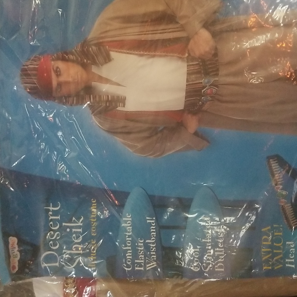 Men's Desert Sheik Halloween costume!